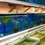 Umkehrosmoseanlagen für Reinstwasser & Spezialanwendungen