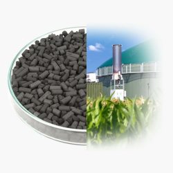 Aktivekohle-Biogasreiniung