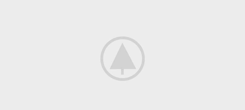 wood-gallery-placeholder-4 wood-gallery-placeholder-4