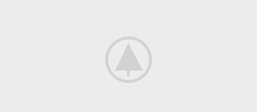 wood-gallery-placeholder-5 wood-gallery-placeholder-5