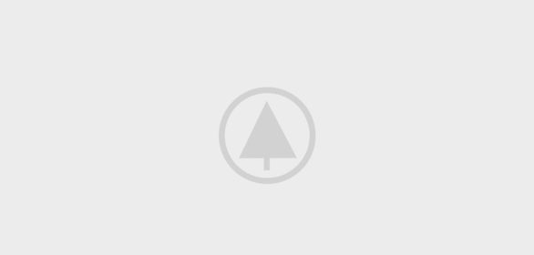 wood-portfolio-placeholder wood-portfolio-placeholder